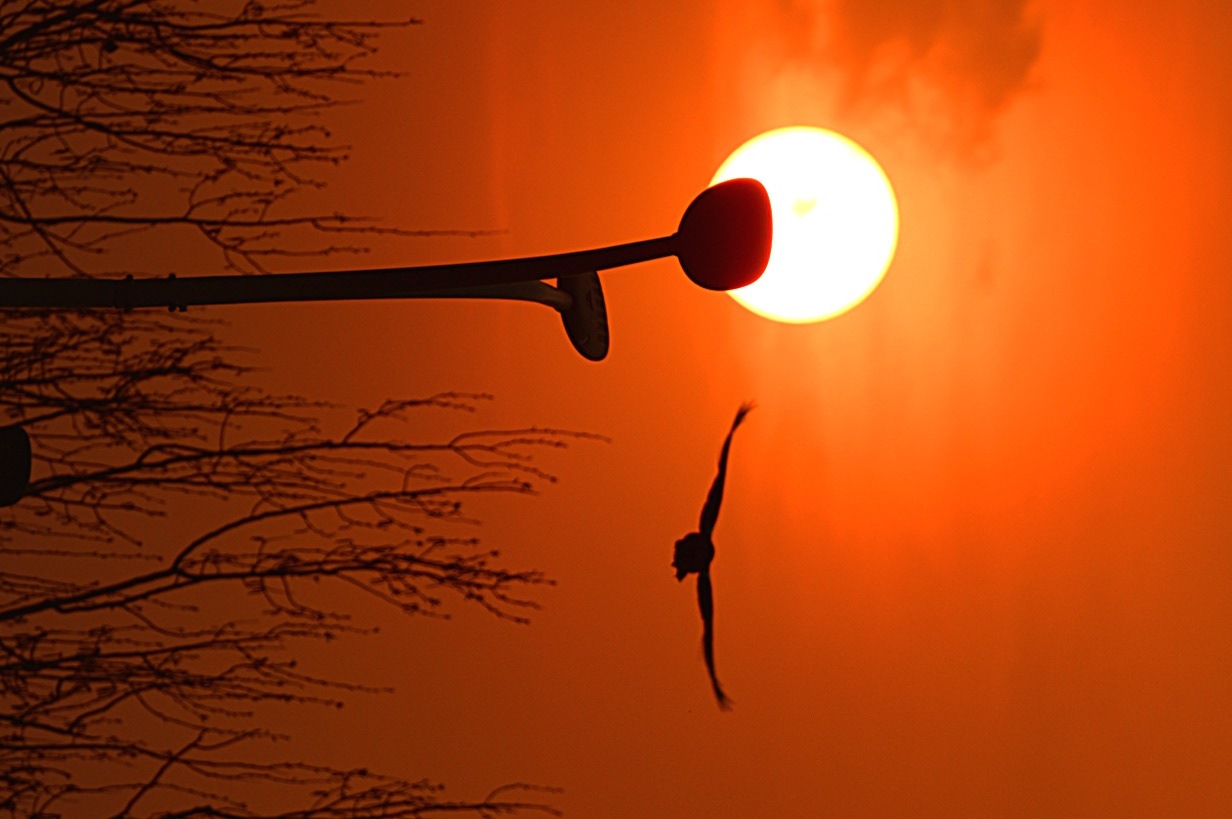 北京:一眼落日温柔,满城春风皆暖 北京:一眼落日温柔,满城春风皆暖