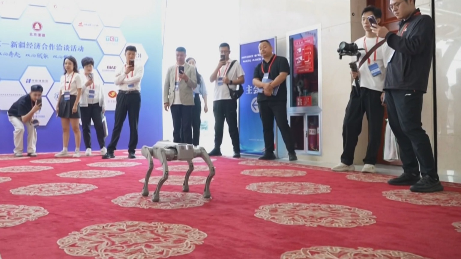 北京—新疆经济合作洽谈活动在乌鲁木齐举办