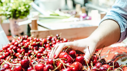 车厘子价格暴跌近40% 年货顶流车厘子为什么不火了？