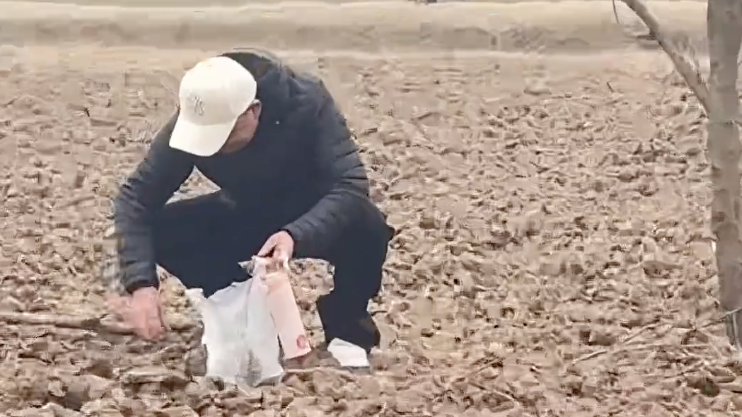 “呆呆”家门口泥土在二手平台高价售卖  称是“发财土”