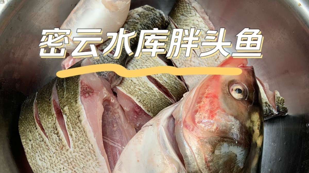 吃鱼就吃“开河味儿”!错过密云水库鱼等一年...... 吃鱼就吃“开河味儿”!错过密云水库鱼等一年......