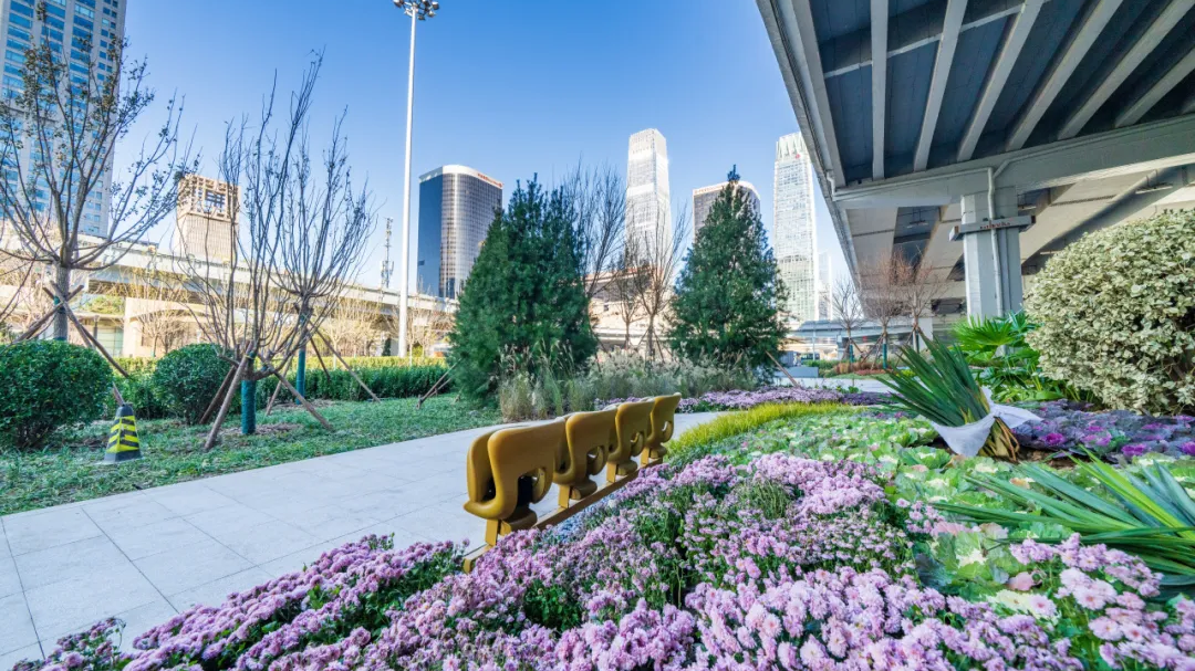 国贸桥“城市客厅”上线!漫行廊道CityWalk走起 —— 国贸桥“城市客厅”上线!漫行廊道CityWalk走起 ——