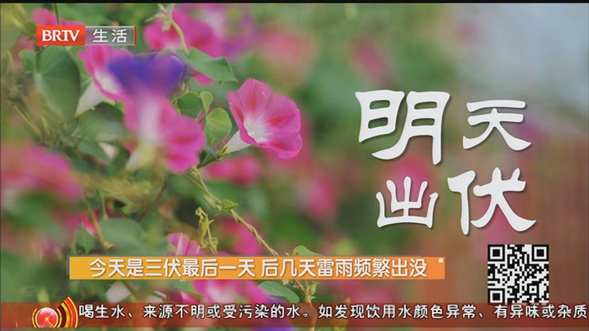 今天是三伏最后一天 后几天雷雨频繁出没