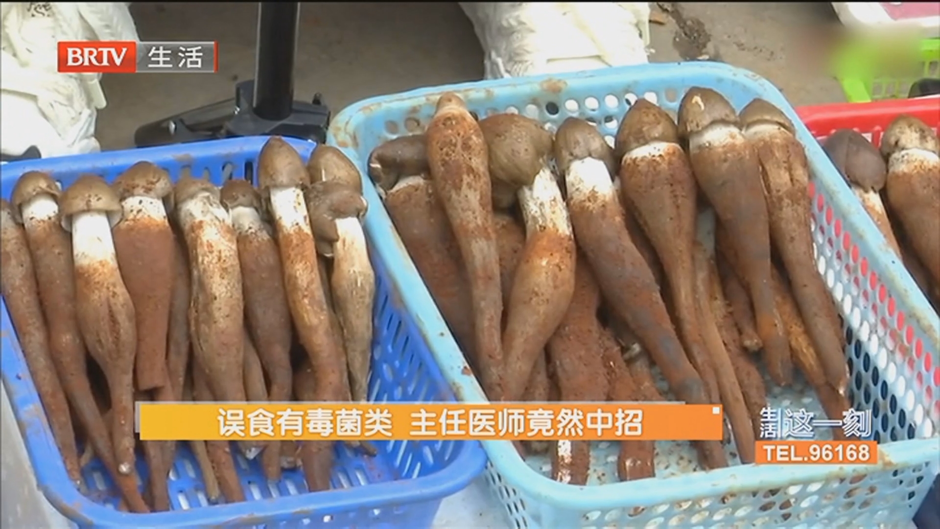 误食有毒菌类 主任医师竟然中招