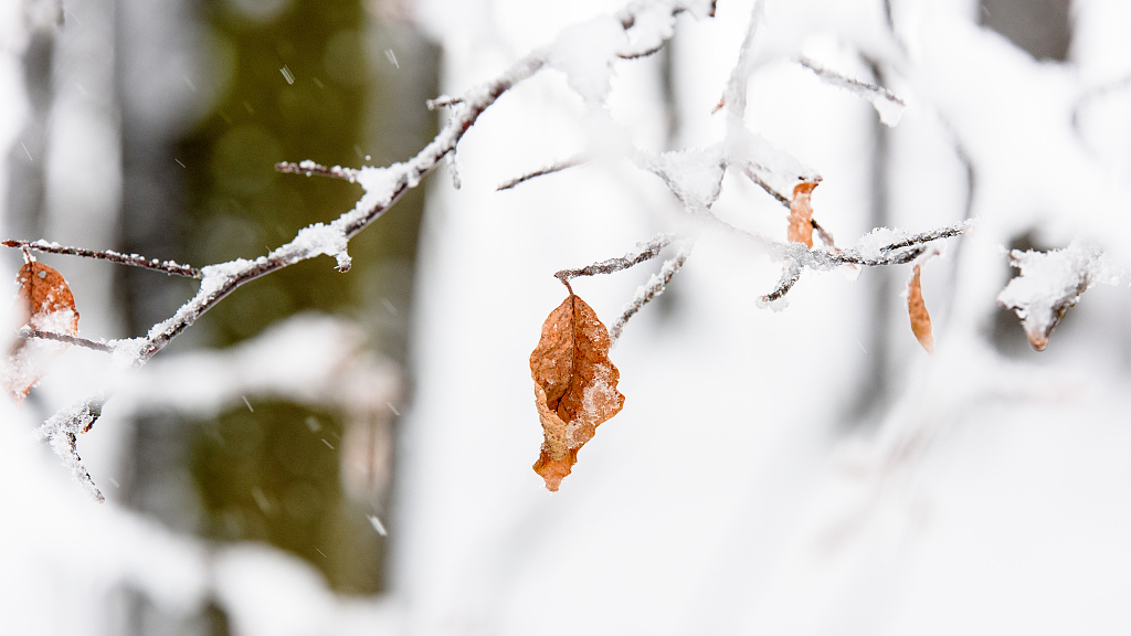 河北山西有大到暴雪,广西海南30度 网友:南北温差具象的一天 河北山西有大到暴雪,广西海南30度 网友:南北温差具象的一天