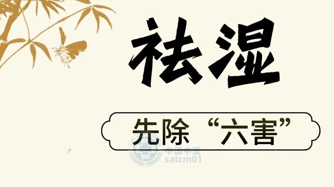 中伏来了,湿气重则百病生!祛湿先除这“六害”,一定要记住 中伏来了,湿气重则百病生!祛湿先除这“六害”,一定要记住