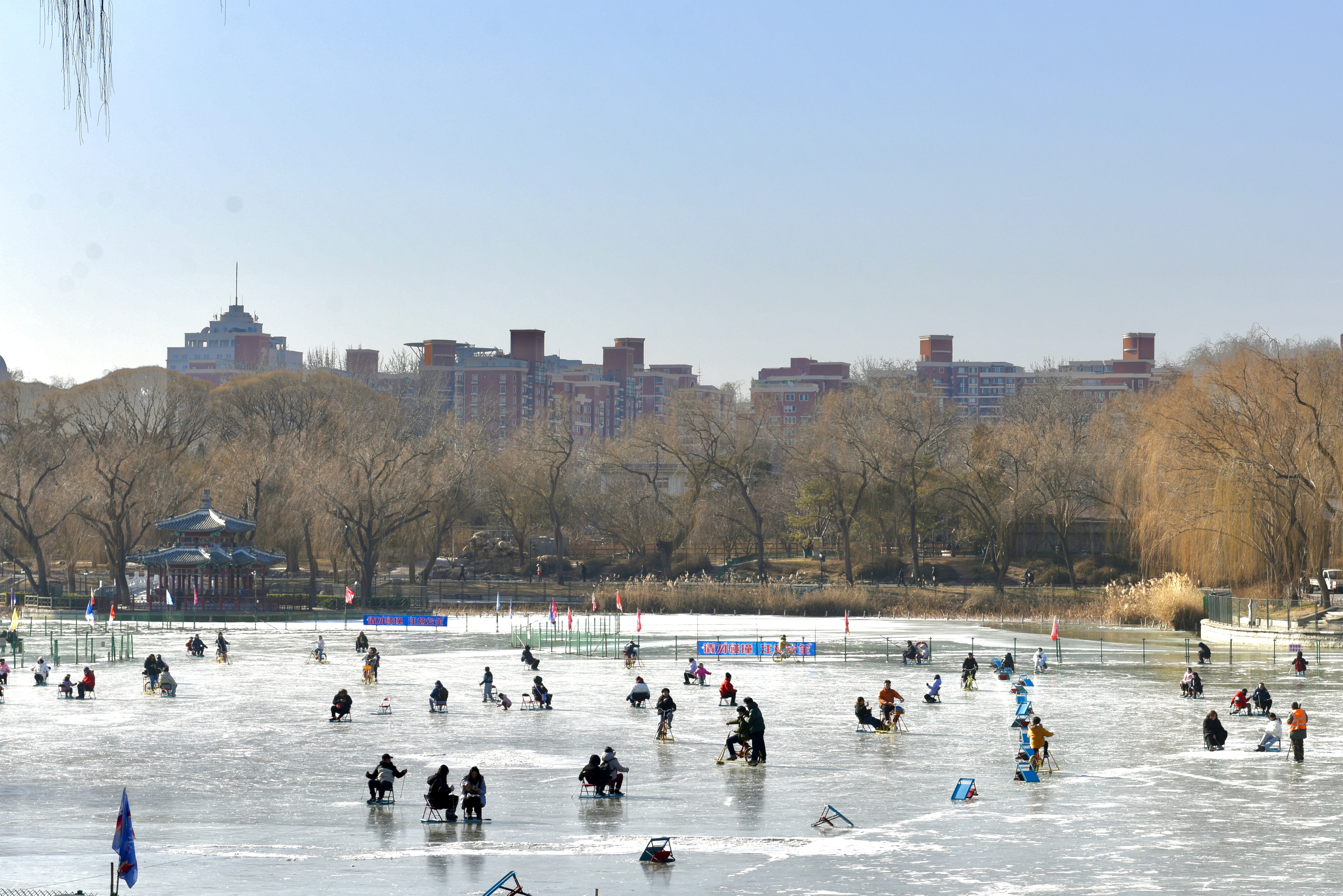 陶然亭公园冰场今天全域开放，面积达2.5万平方米