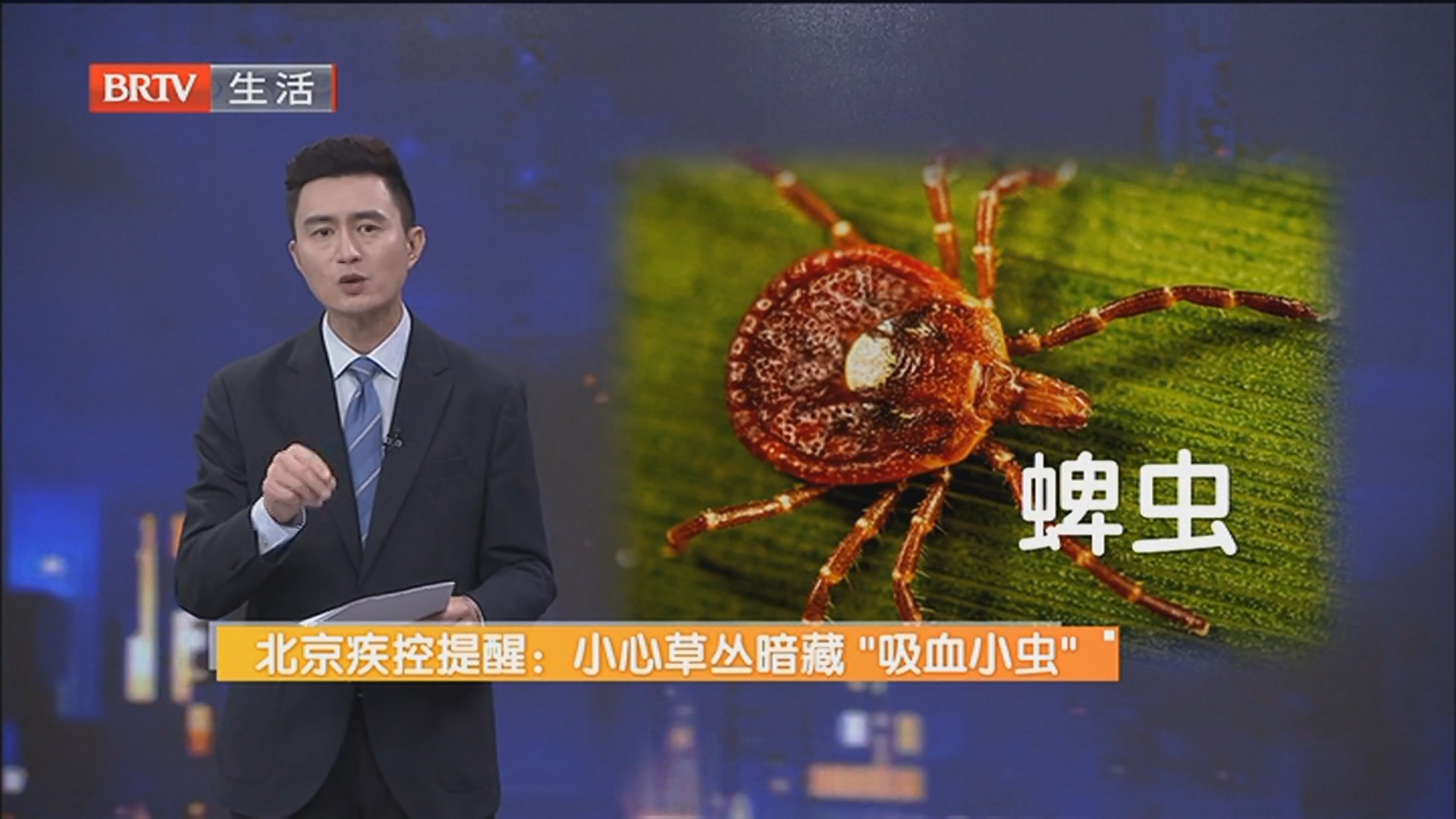 北京疾控提醒:小心草丛暗藏“吸血小虫” 被蜱虫咬了怎么办?千万不要硬拔 北京疾控提醒:小心草丛暗藏“吸血小虫” 被蜱虫咬了怎么办?千万不要硬拔