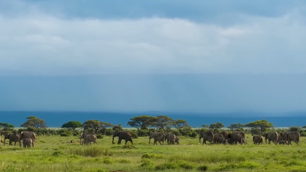 探秘南非奇境:一起开启一场自然遗产与多元文化相交织的精彩旅途! 探秘南非奇境:一起开启一场自然遗产与多元文化相交织的精彩旅途!