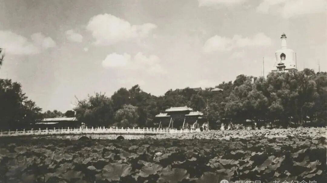 跟着老舍先生游北京：北海公园还能这么看
