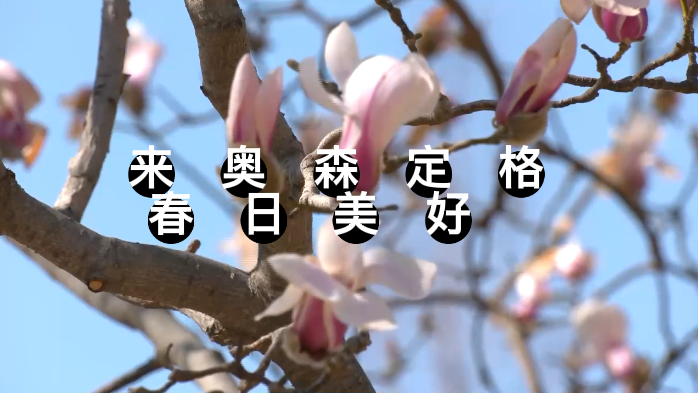 第十四届北京奥林匹克森林公园花卉观赏季春花节启幕