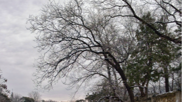 明天北京西部北部仍有雨夹雪!元宵节天气预报来了—— 明天北京西部北部仍有雨夹雪!元宵节天气预报来了——