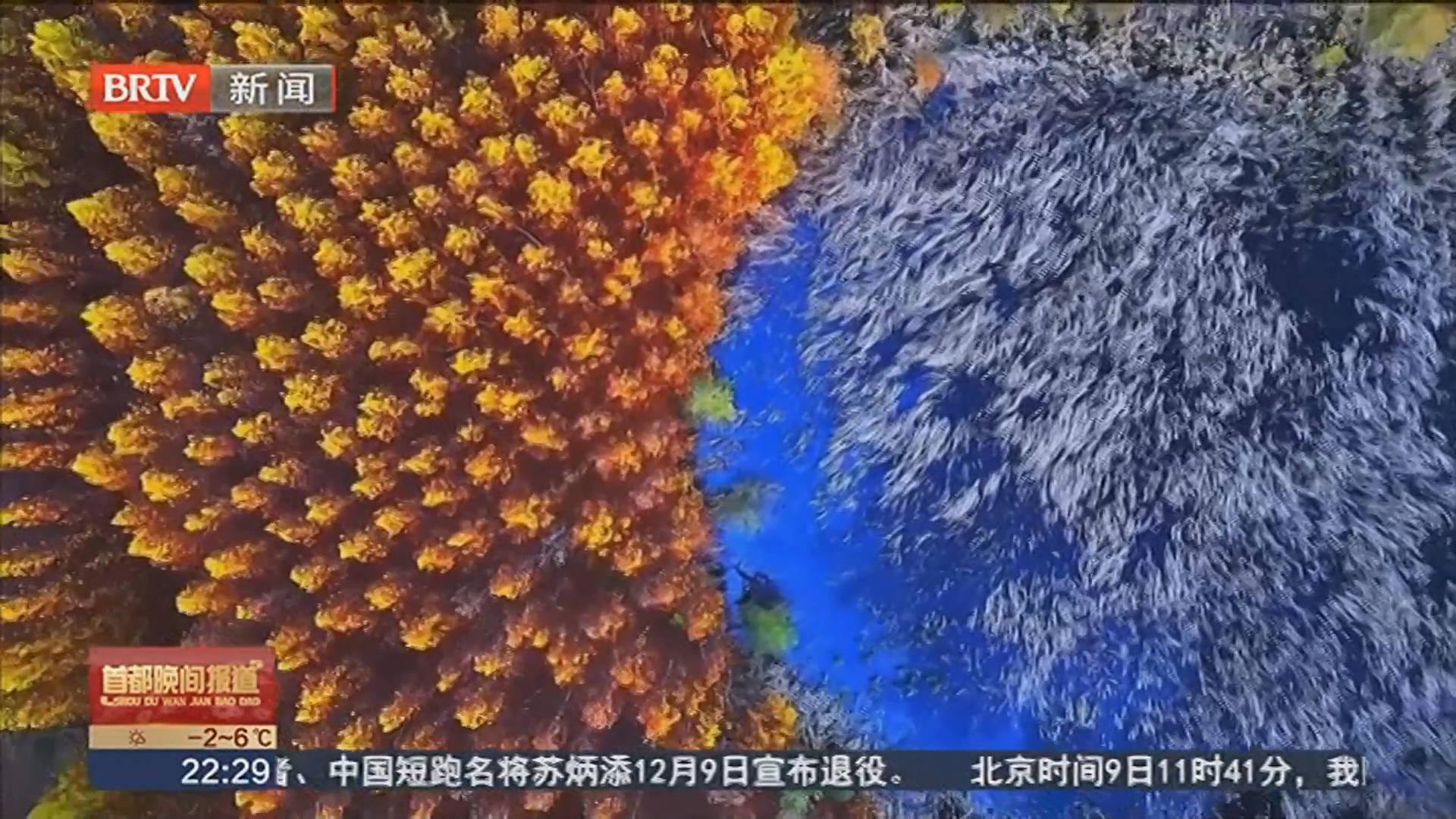 西双湖湿地公园:色彩斑斓的水杉林 西双湖湿地公园:色彩斑斓的水杉林