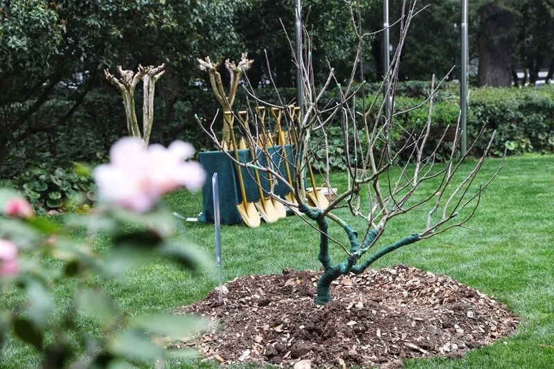 英国首相斯塔默今起访问上海 英国首相斯塔默今起访问上海