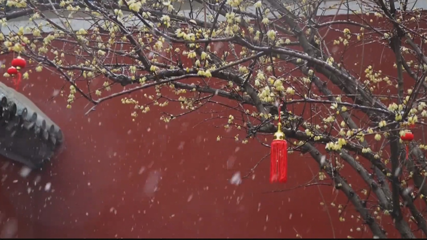 飞雪迎春到 美景入画来
