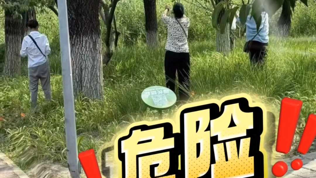 北京奥森公园有游客摘果子！公园提示：小心，有农药！