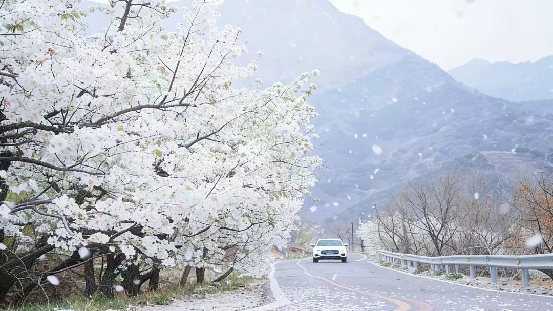 北京平谷：五条特色大道 三大主题片区 绘就花园乡村美丽画卷