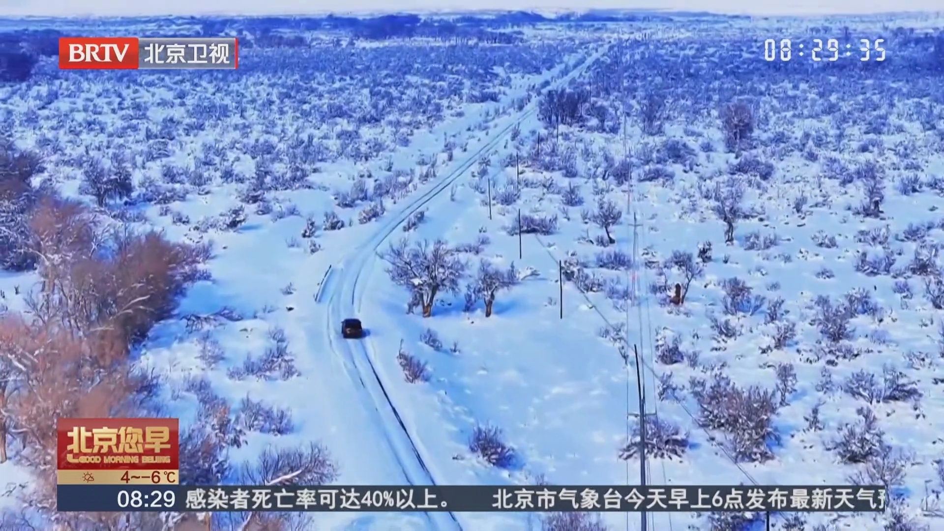 新疆乌苏市：雪落胡杨虬枝劲