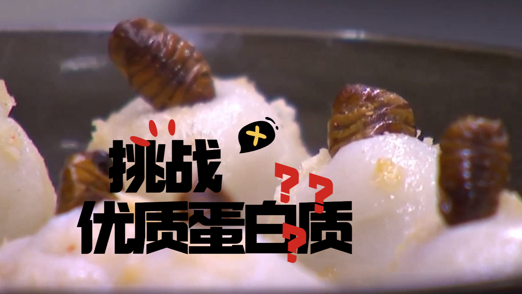 新加坡或将批准16种昆虫作为食品售卖