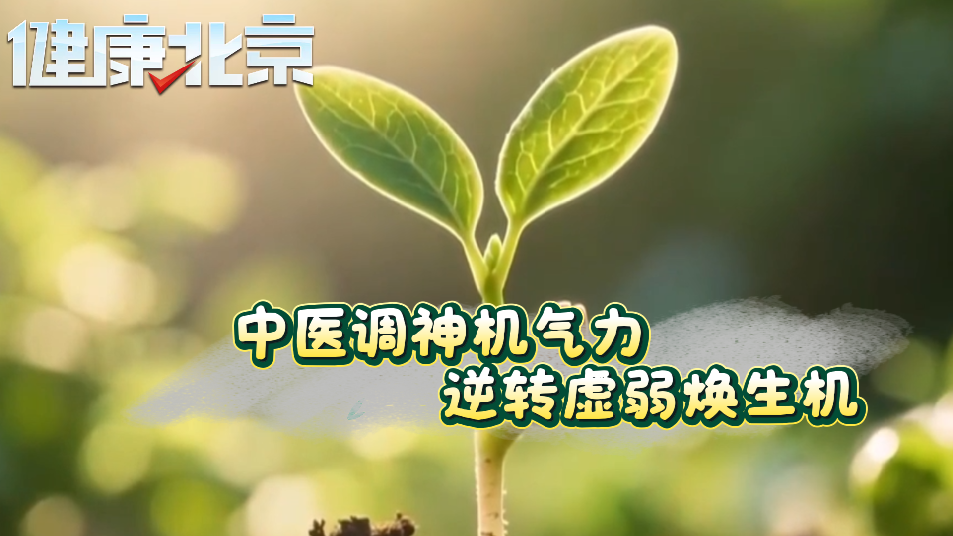 中医调神机气力，逆转虚弱焕生机