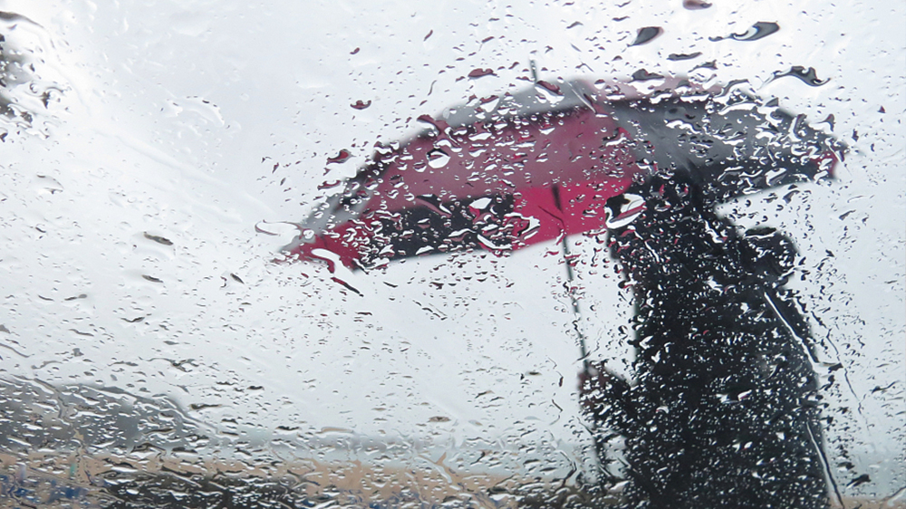 暴雨+大雾双预警！今天全国多地将迎强降雨