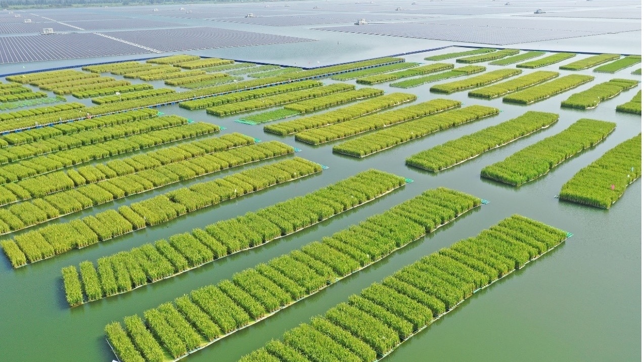 南方省份有序恢复部分流失耕地,遏制“北粮南运”加剧势头 南方省份有序恢复部分流失耕地,遏制“北粮南运”加剧势头