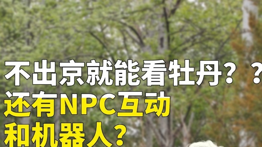 北京藏了一片会发光的牡丹海 北京藏了一片会发光的牡丹海