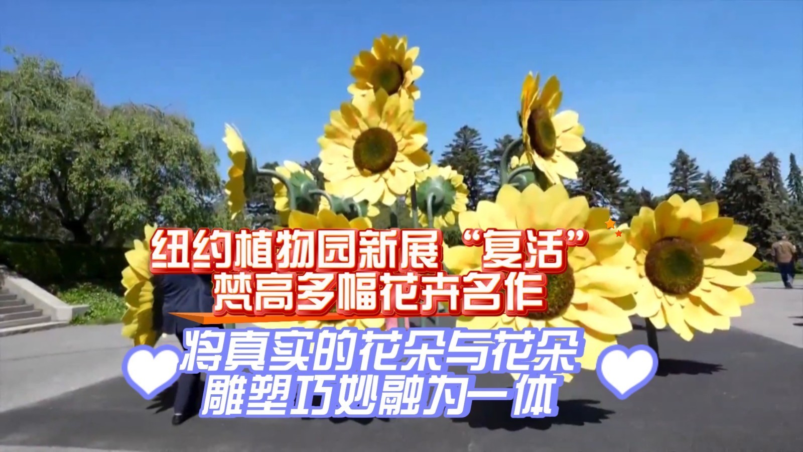 纽约植物园新展“复活”梵高多幅花卉名作