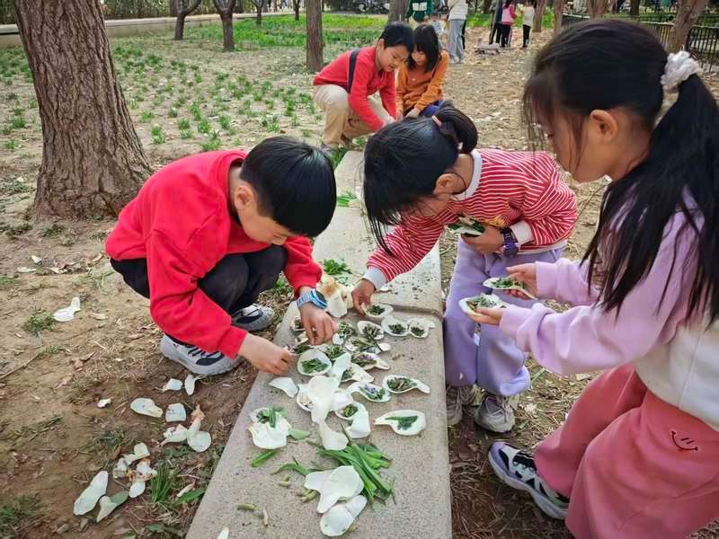 “东风吹过玉兰花”：北京为何处处是“玉”见？