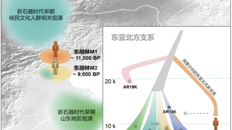 3位“东胡林人”提取到古DNA，万年前人群遗传图景揭面纱