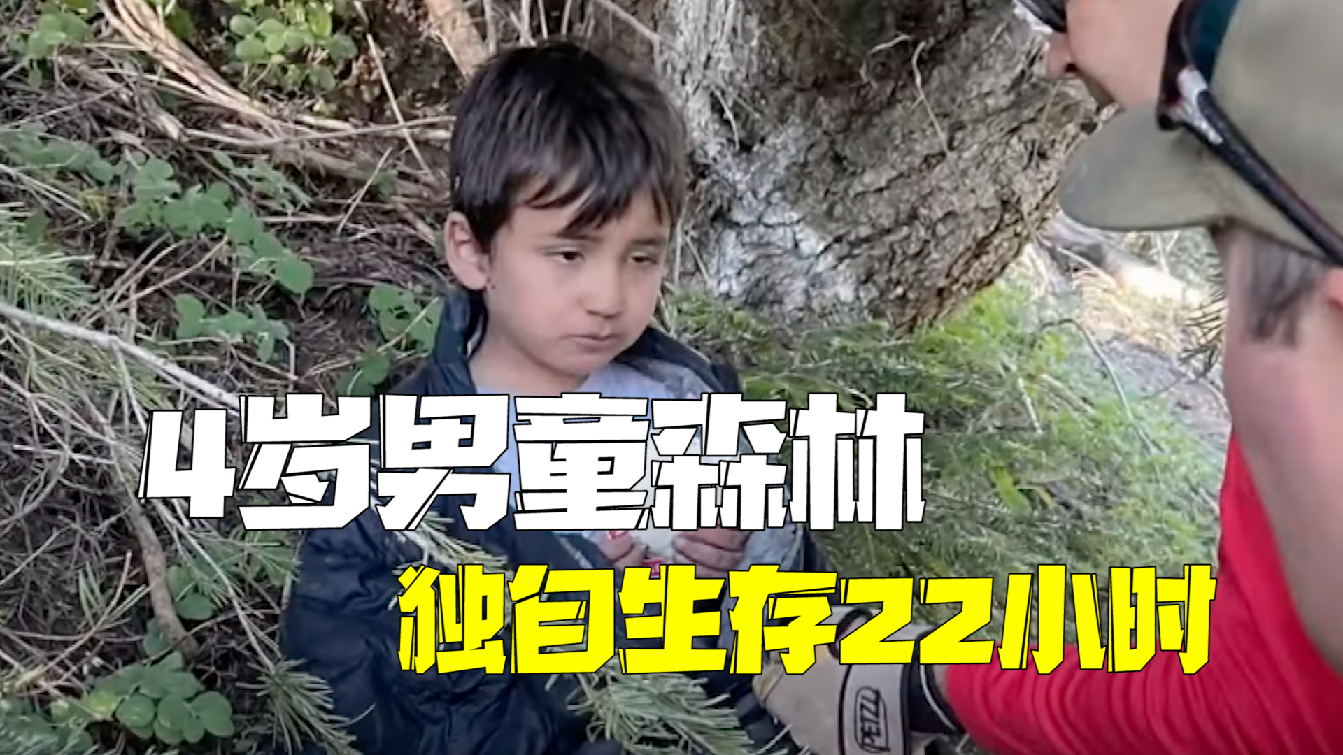 美国4岁男童森林走失22小时 独自过夜面对郊狼美洲狮