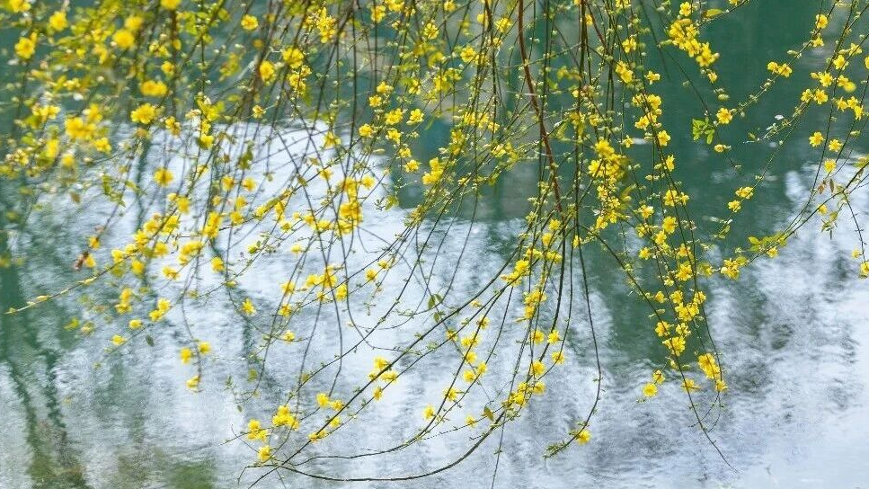 北京本周回暖！但这件事没做好，当心生病