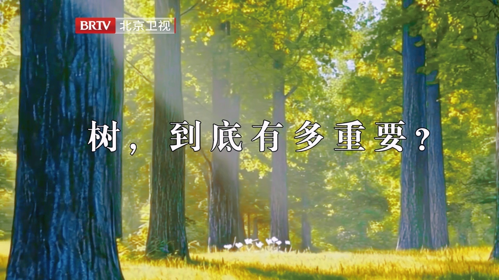 植树节为地球添一抹绿 植树节为地球添一抹绿