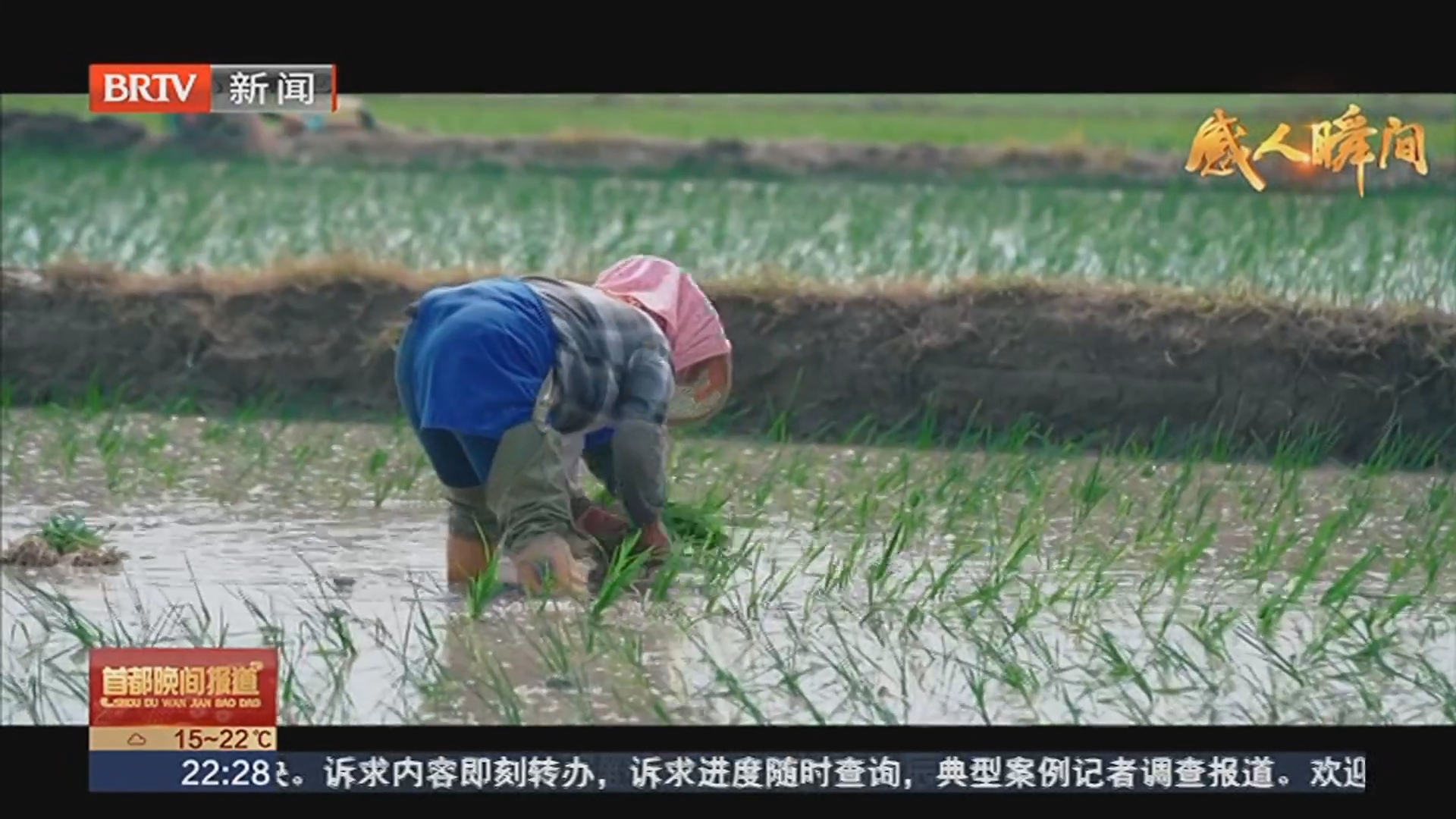 感人瞬间