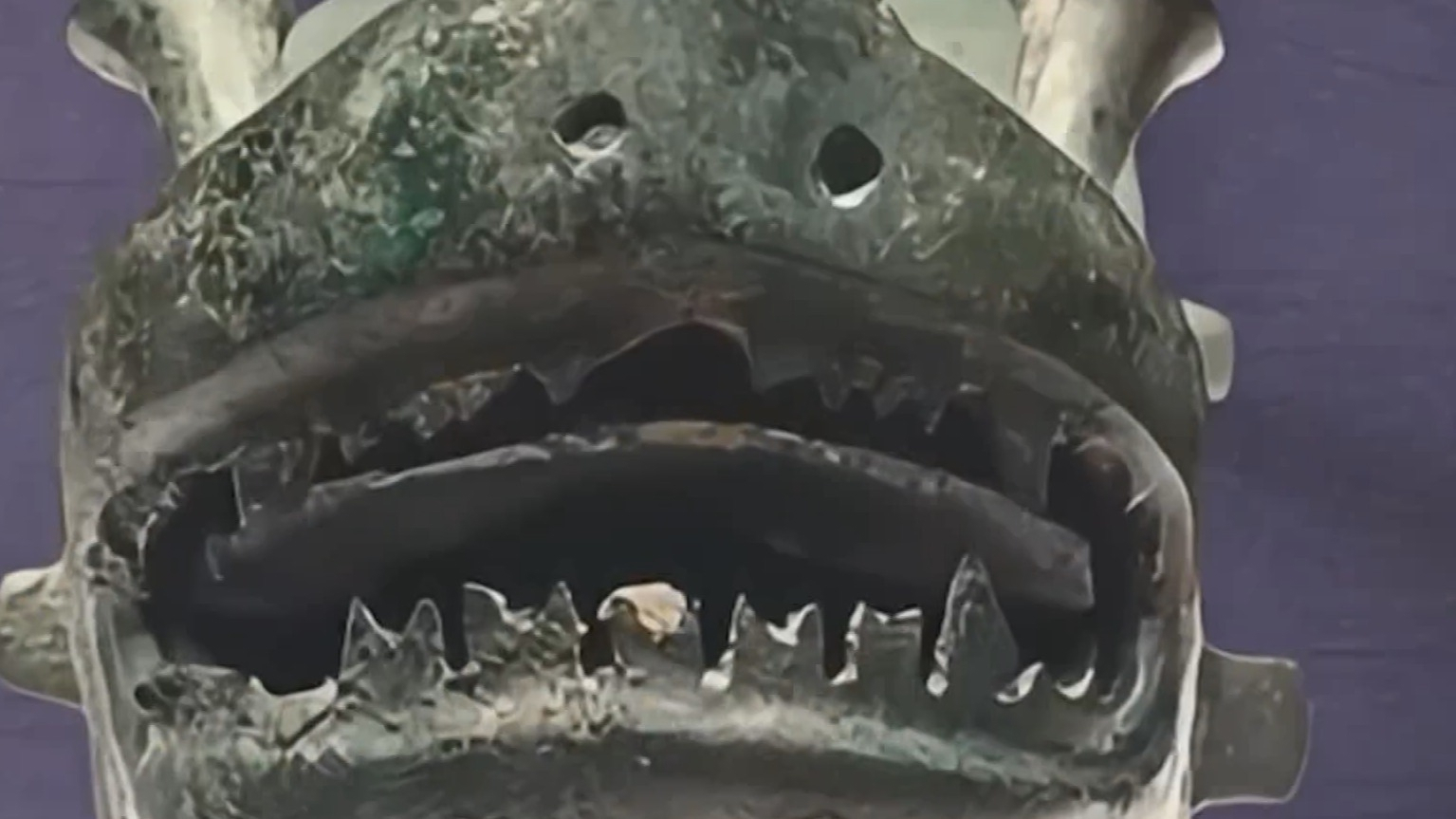 “看·见殷商”特展将于5月19日在北京大运河博物馆开展 “看·见殷商”特展将于5月19日在北京大运河博物馆开展