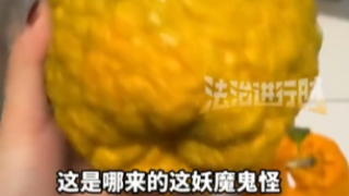女子网购耙耙柑收到一箱“妖魔鬼怪” 网友:都给你只有1个投诉 女子网购耙耙柑收到一箱“妖魔鬼怪” 网友:都给你只有1个投诉