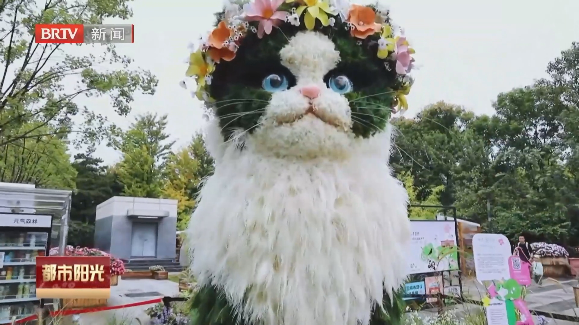 3米高大“花”猫现身菜市口 又香又萌等你来吸