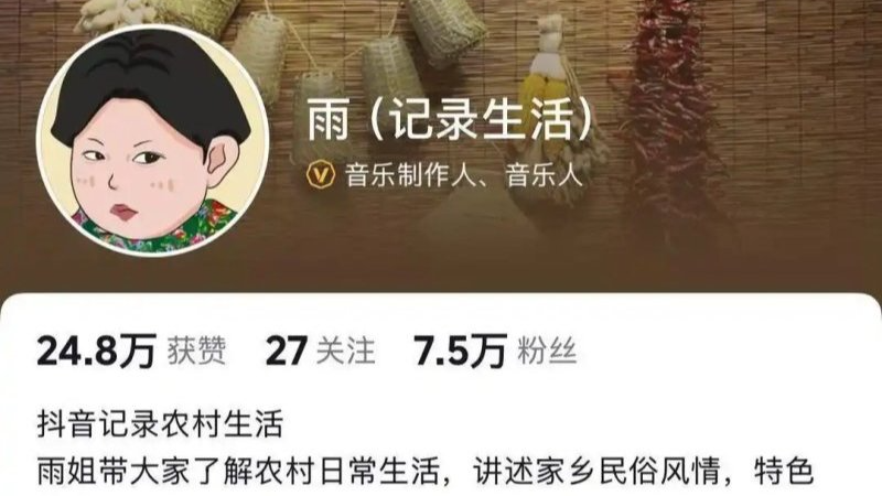 “东北雨姐”等劣迹大网红复出被查，他们是如何“借尸还魂”的？