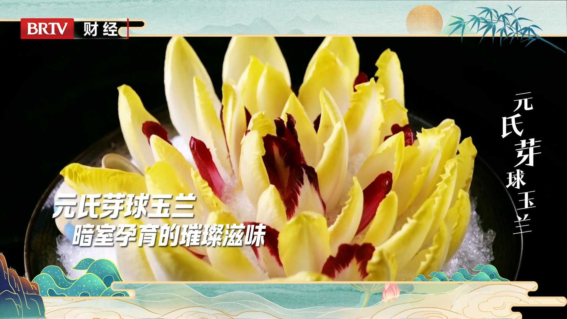 【河北净菜】元氏芽球玉兰：暗室孕育的璀璨滋味