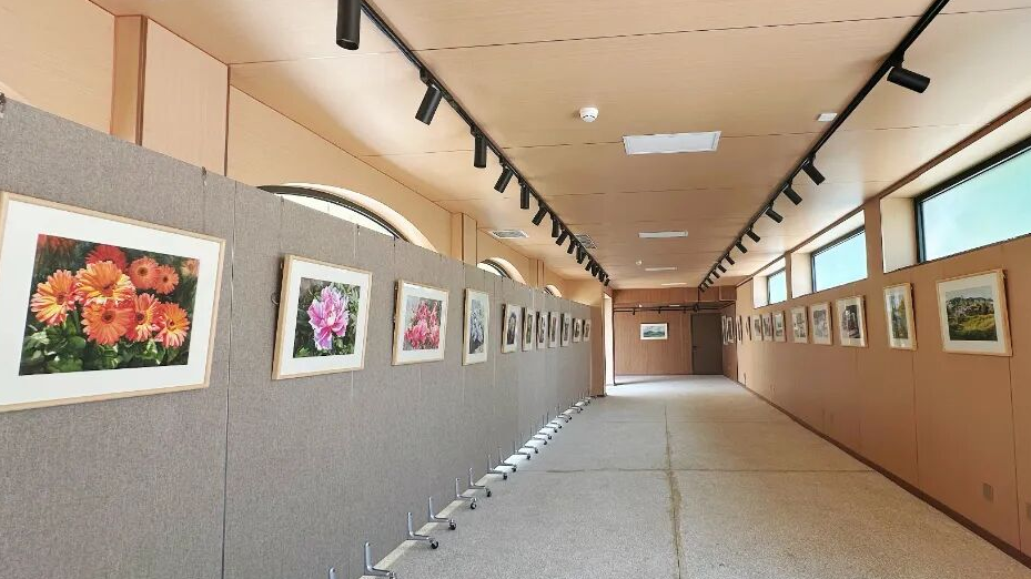 “瞌睡猫”商街首展看什么？车停哪儿？一篇说清楚——