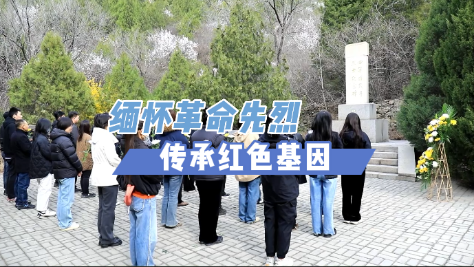 穆家峪镇开展 “缅怀革命先烈，传承红色基因” 主题党日活动