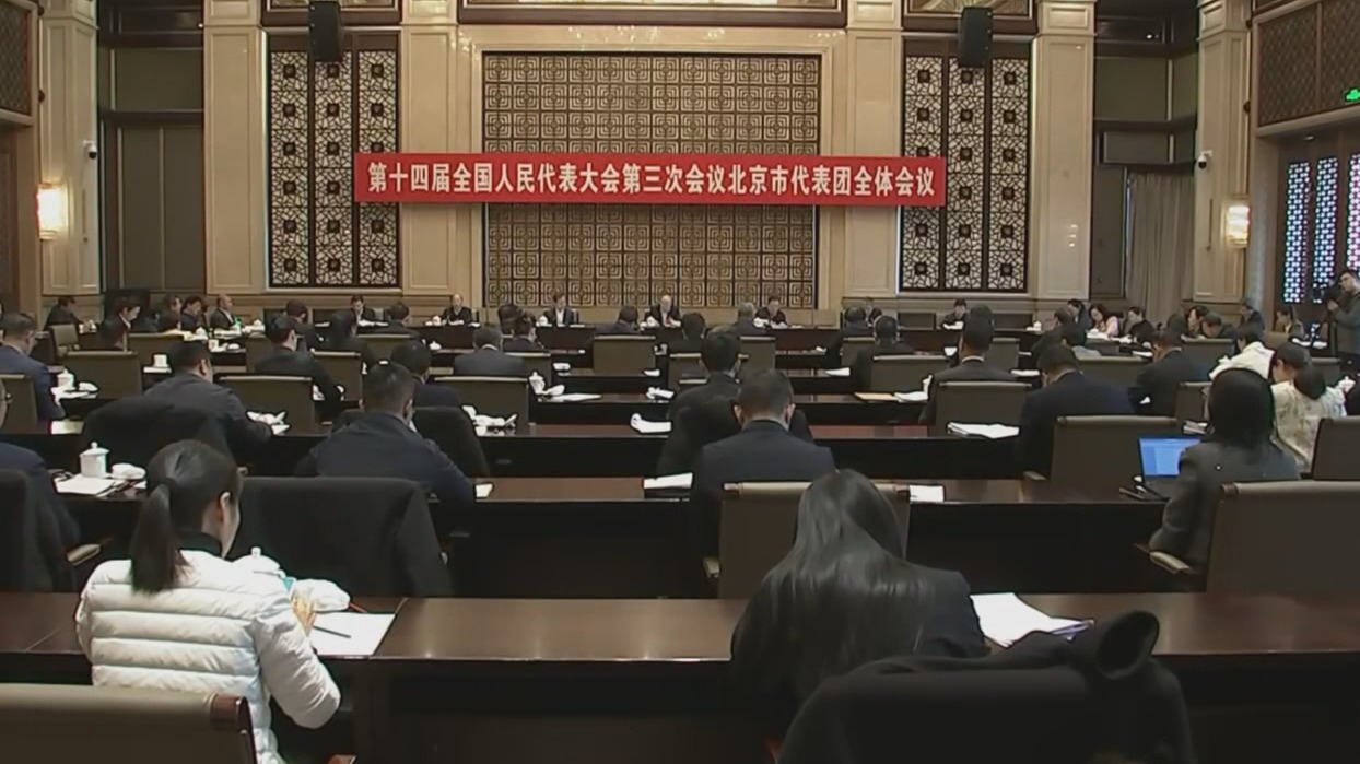 北京市代表团审议政府工作报告