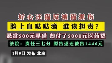 悬赏500寻猫,索赔1万医药费! 垫钱的猫主和破相的厨师 悬赏500寻猫,索赔1万医药费! 垫钱的猫主和破相的厨师