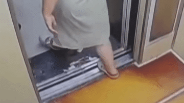 妻子刚出电梯就被毒蛇咬伤！丈夫“教科书式”急救保命