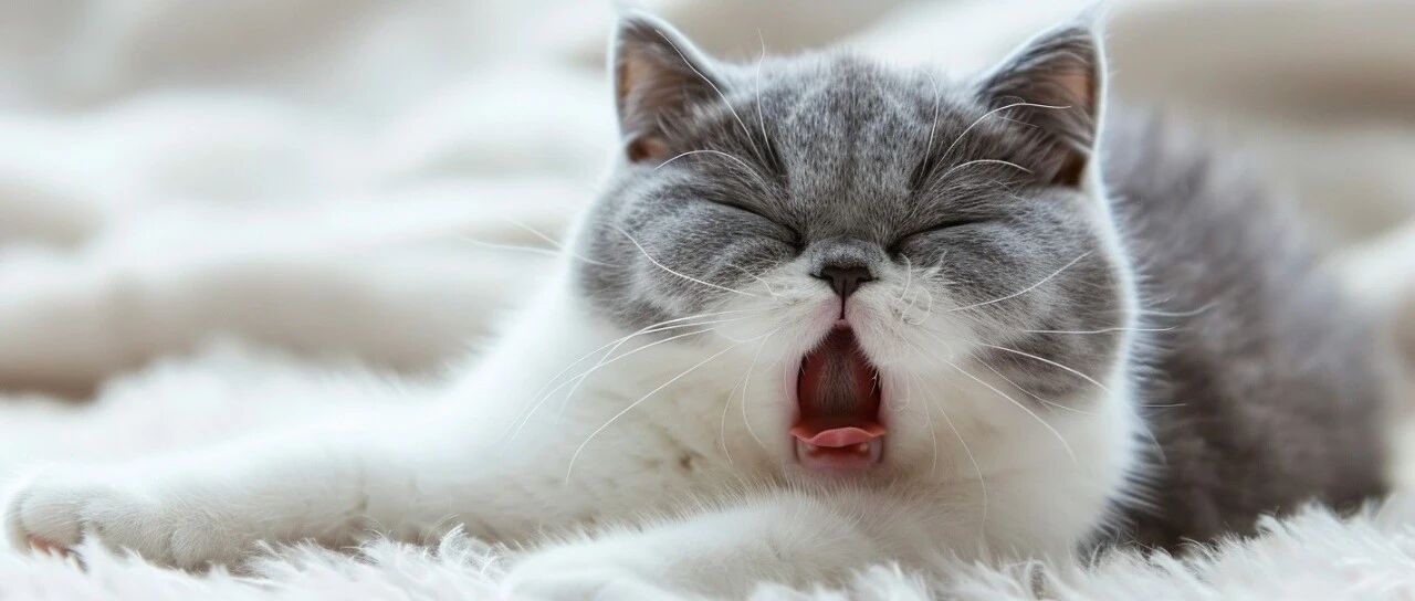 “半夜醒来不要看时间”上热搜！网友：第二天大概率同一时间醒来