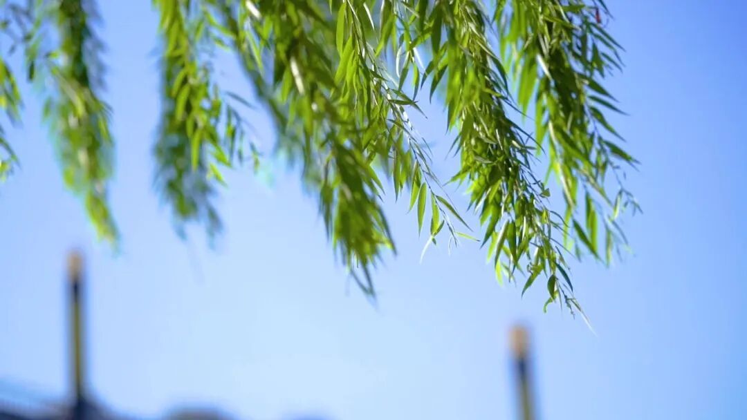 6级阵风来袭,明后天山区有雨!五一当天北京还有雷雨! 6级阵风来袭,明后天山区有雨!五一当天北京还有雷雨!