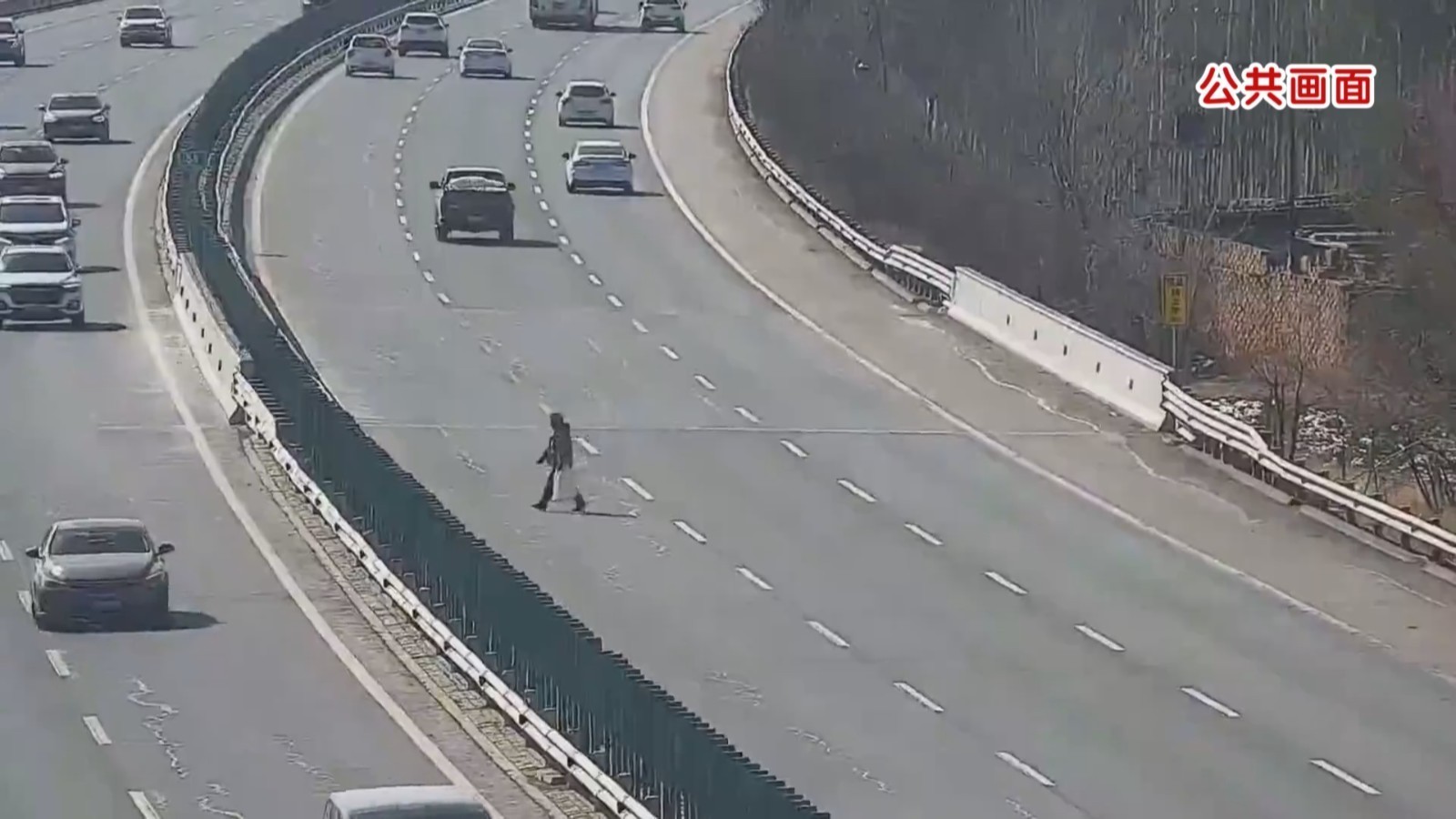 命悬一线!六旬老人二十分钟三次横穿高速公路 命悬一线!六旬老人二十分钟三次横穿高速公路