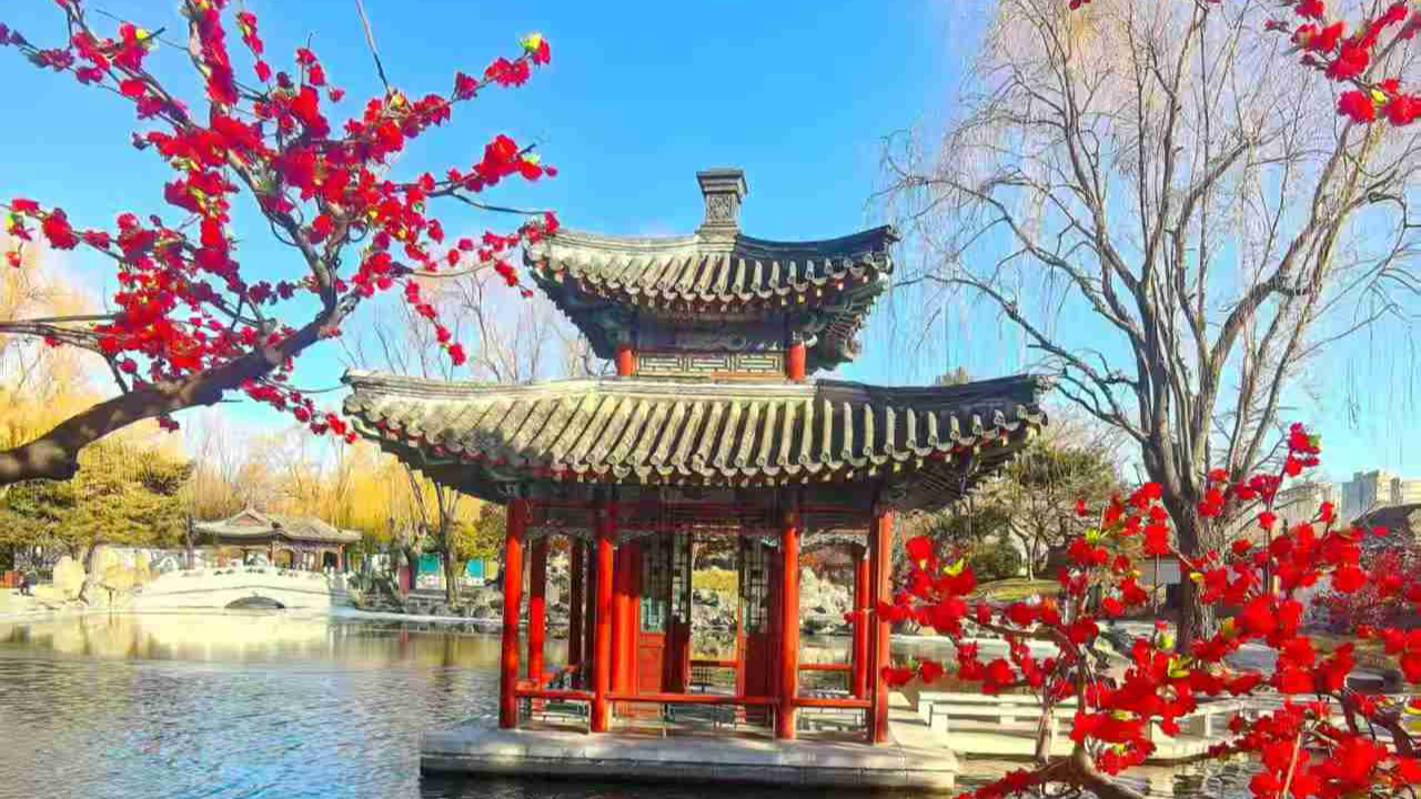 大寒迎春日 冰雪绽芳华