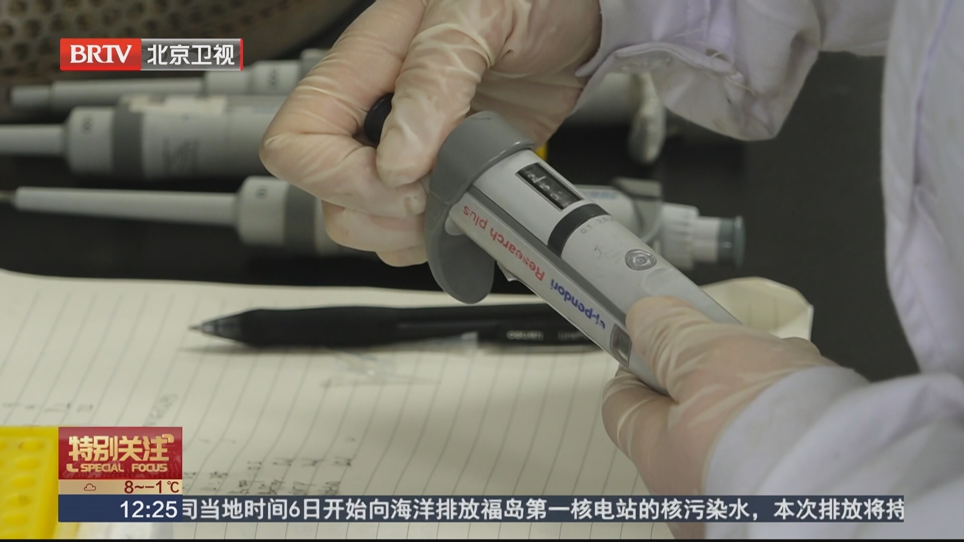 多措并举 园林部门提前打响“花粉阻击战” 多措并举 园林部门提前打响“花粉阻击战”