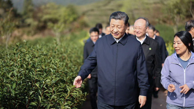 图文故事丨“把茶产业做大做强”